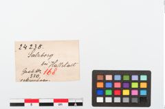 Etiketten zu Eisengriffzungenmesser (NHMW-PRAE-024238)